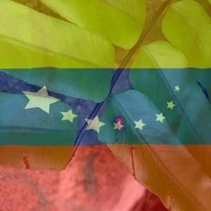 Meet your Posher, Leyla